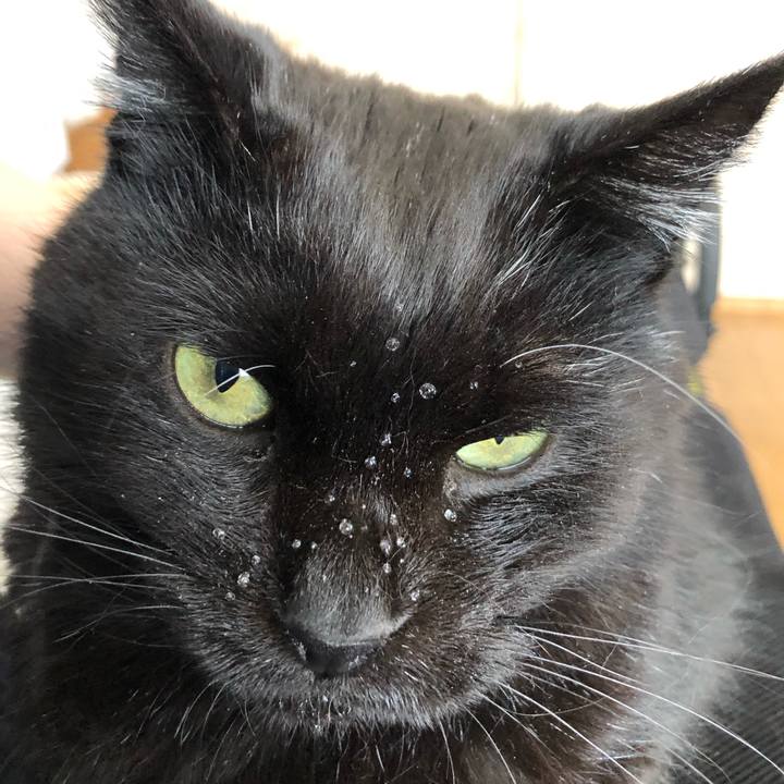 C7cb2e21 4c47 4f9a 9c77 da7ea1a316b3 1640830132236