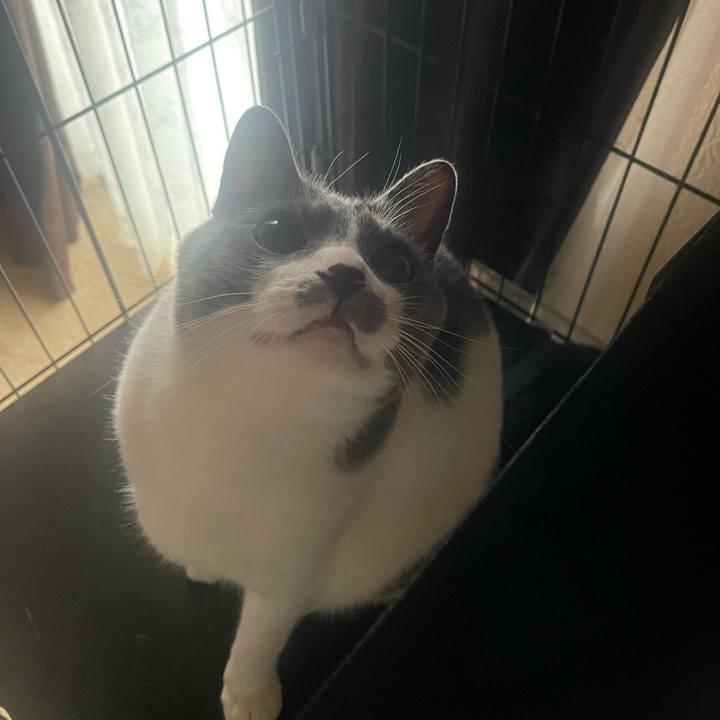 C7cb57b6 87cb 4cfb aa55 fea44e80327e 1676267947118