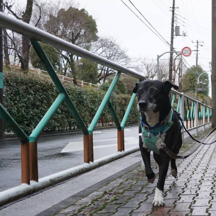 C7cb77d1 4961 4ed1 9612 ec5c0fa19405 1772581512592