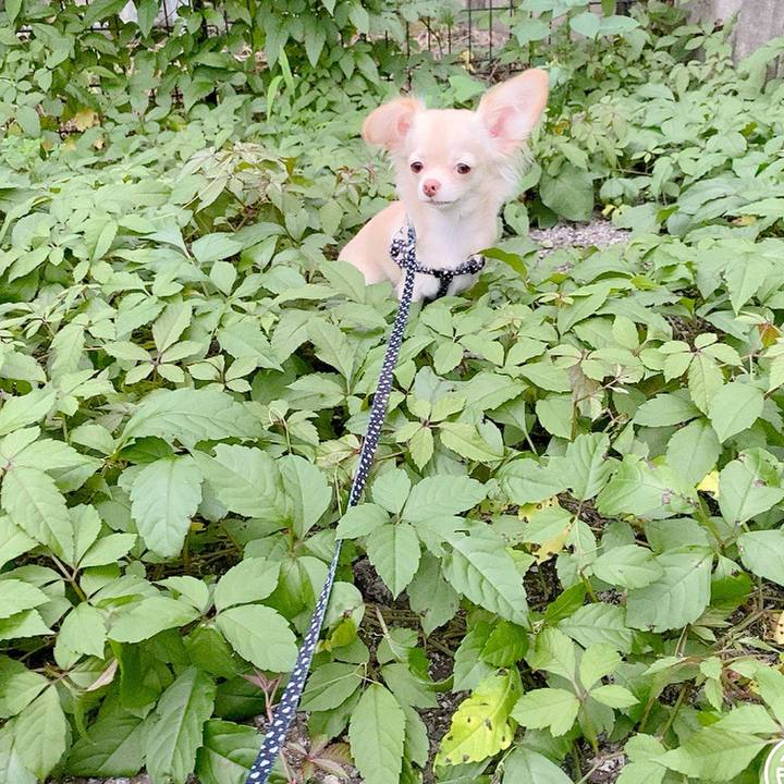 C7cbd9d7 042d 43f9 8b99 fc5cedd97f85 1602411104126