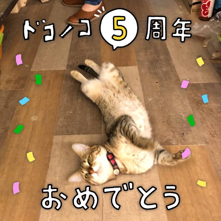 C7cbdf1c 3efd 4efa 8ec9 652f54499d60 1622870052876