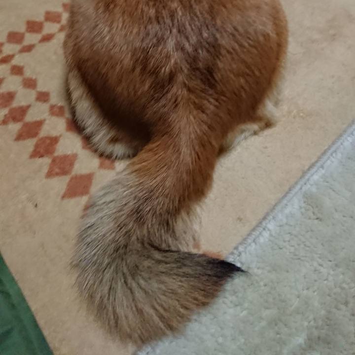 C7cbe809 ac86 4aa6 9469 511e48b81526 1541583525592