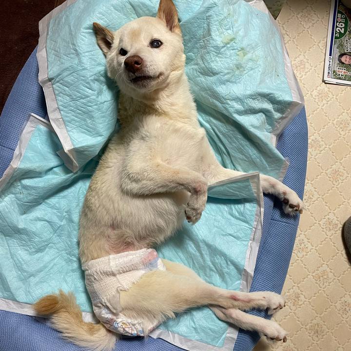 C7cbfd43 e730 4338 af6a 5ac23243f06e 1679916452113