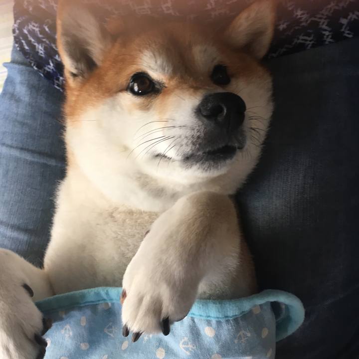 C7cc1151 ccf6 4b56 910d 7f91640ae8e3 1568513470260