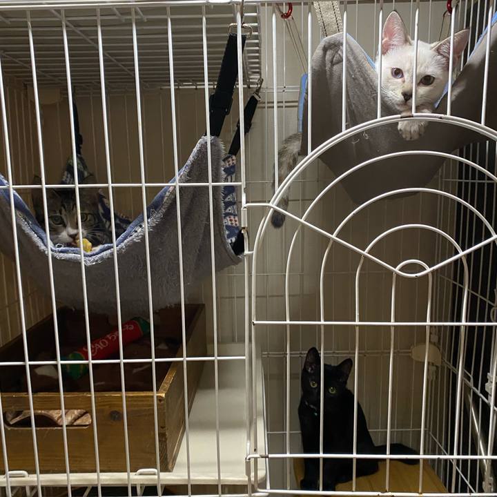 C7cc1b21 66ec 4d9f bdd3 6ec27bb59a84 1629795076917