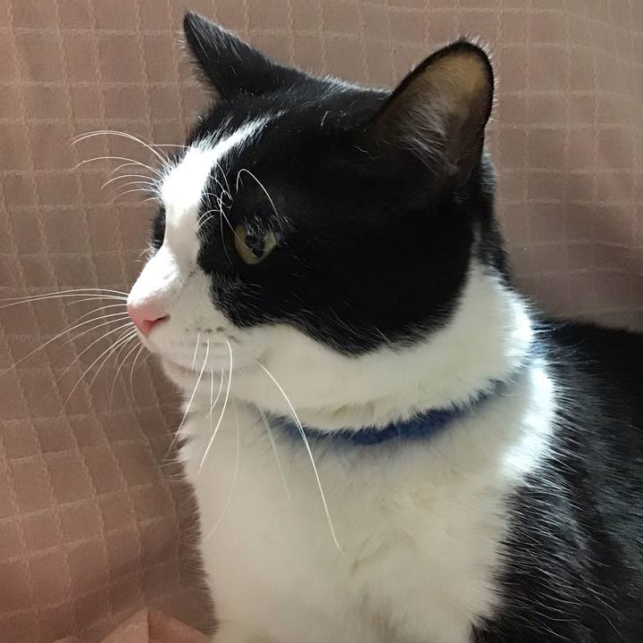 C7cc28b0 cfb0 4660 91fc c858cee42e98 1705575459013