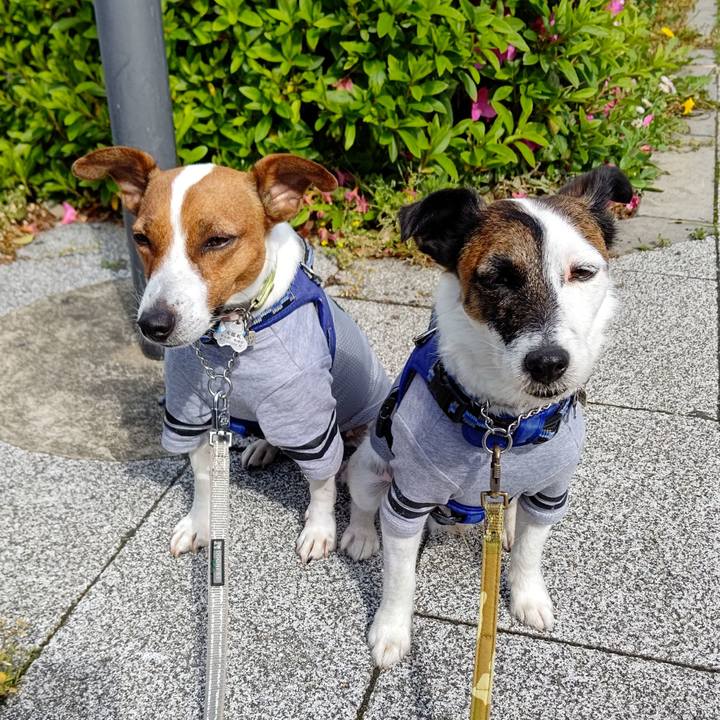 C7cc71ab 6864 41ef 8733 d17cd0b312fe 1619826314524