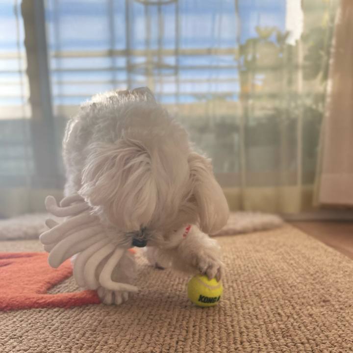 C7cc7387 5aed 48d6 8a86 c3830a8cc613 1767748157092