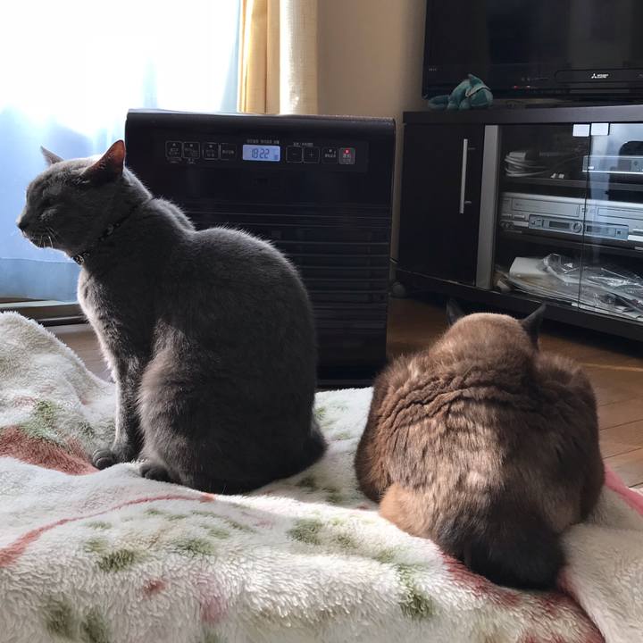 C7ccef19 16d3 481a 8fca f64135c83955 1539505407969