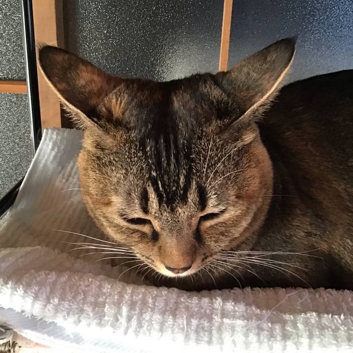 C7ccfc4d b166 4c82 8f75 a6bbc055052c 1636536354831