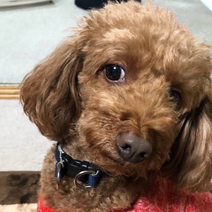 C7ccfeeb b969 42ff 85cb 89e1b5cc39a9 1574474891173