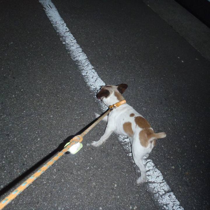 C7cd4fc5 67d5 4774 a3e8 7efc7765b0d1 1534596621772