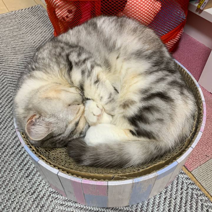 C7cd922f 15a6 4cd8 a5ab 9777f9ceb8ac 1709382536903