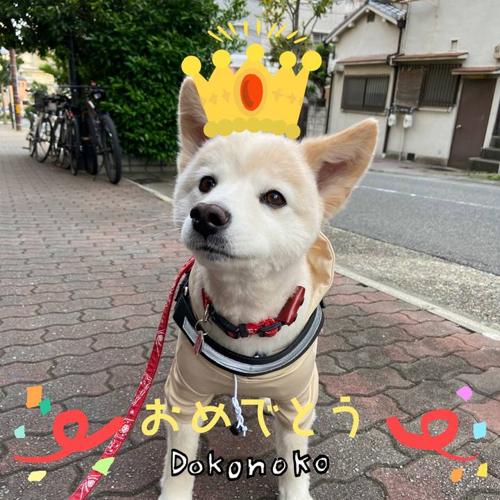 C7cdbf6a a1ba 410b a5ba a9ea73b00ccb 1685972157399