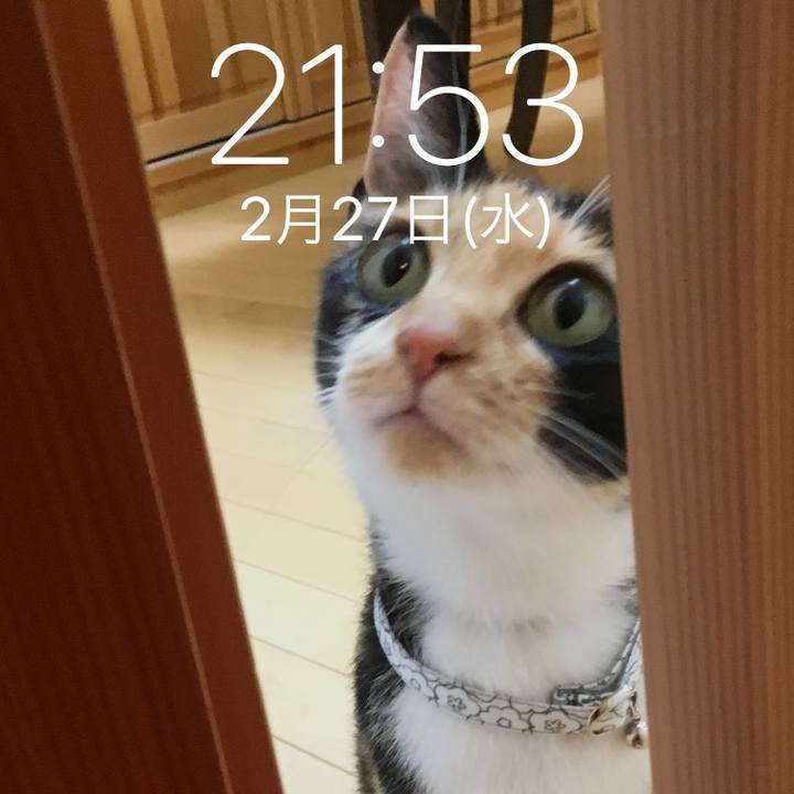 C7ce0f9a 580a 414a a690 c034cb6d5fc7 1551272168318