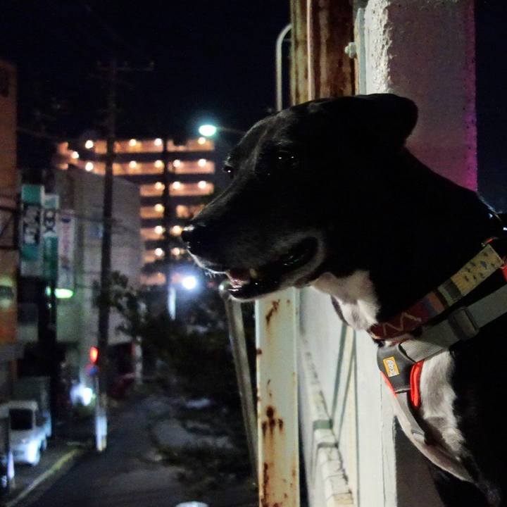 C7ce2740 ee84 4bb7 8aed 331ee6454be4 1732185786762