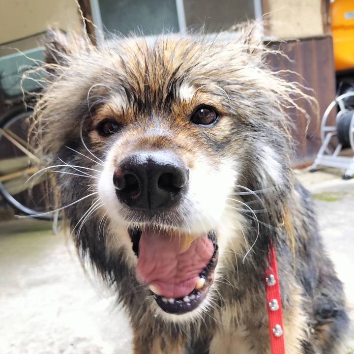 C7ce9085 c869 4f0f 9b74 c5482bb10089 1686701753099