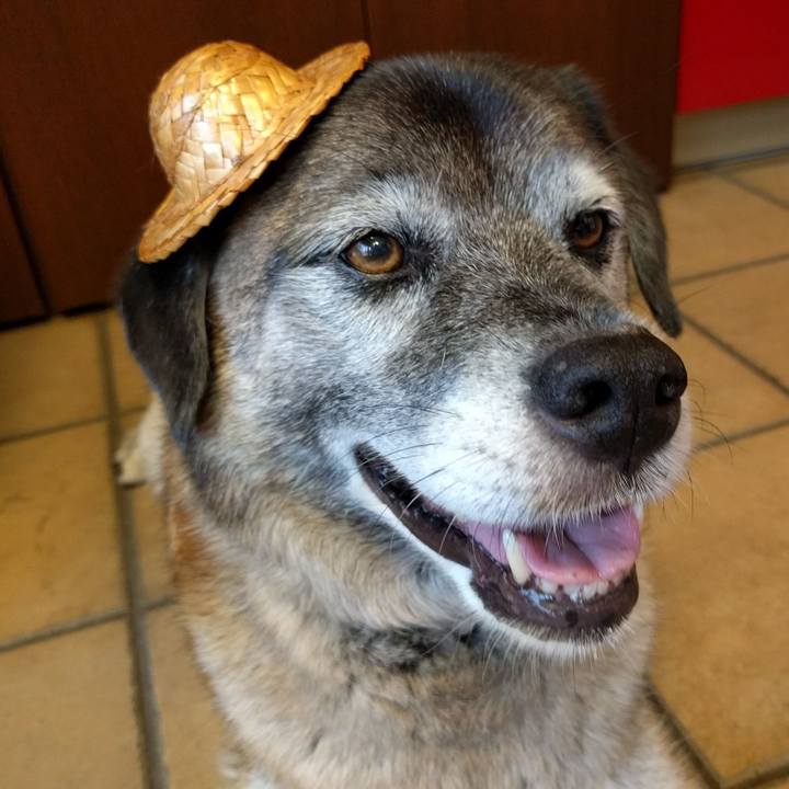 C7cee422 8fa5 4aa4 97a8 3b45db5b105d 1532652069087