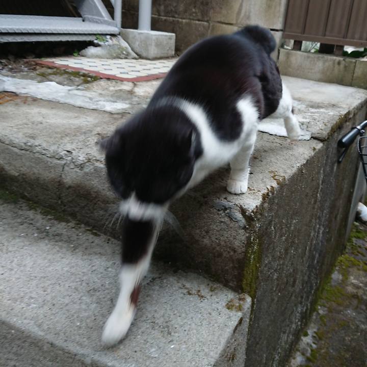 C7cee5a6 f659 4a7e 9969 c4f9a29989fd 1646725130633