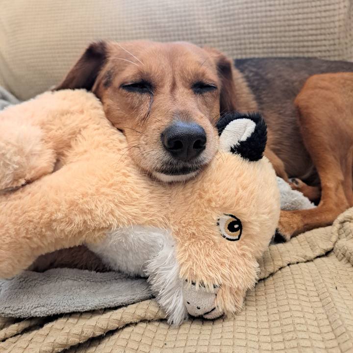 C7cf0ae7 135a 46a6 bc14 5b0920d028c6 1774141986520