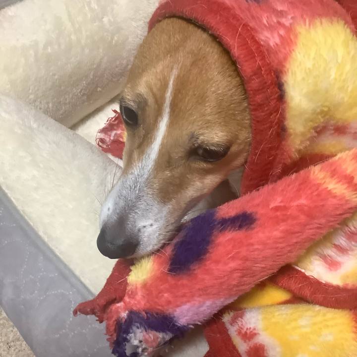 C7cf23f9 dbda 4653 93f2 08b2996142a7 1577269696155