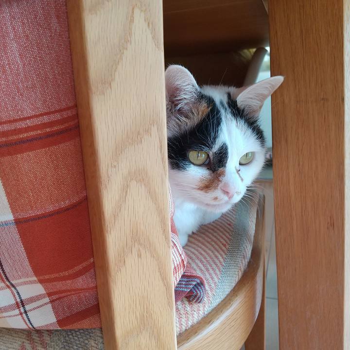 C7cf2915 36ed 43a2 915c 554f57ca15ff 1605141983539