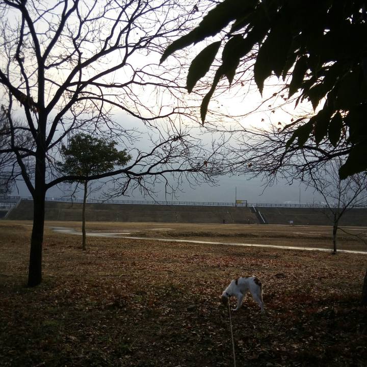 C7cf4a8a e408 4679 99a0 6b05306d2f6e 1518309724132