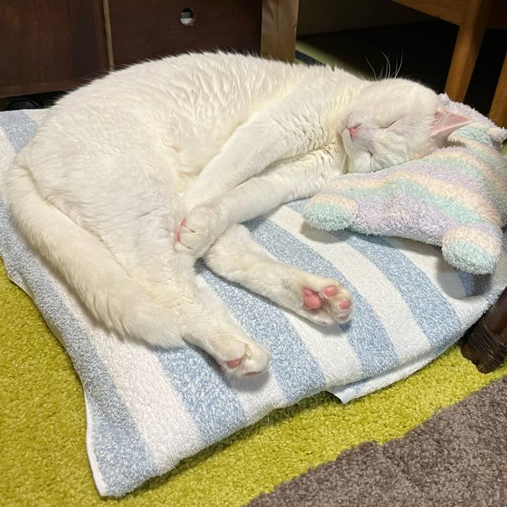 C7cf8175 4286 455b 97f4 13fa6542ac79 1697374929973