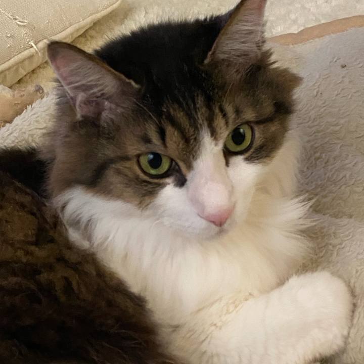 C7cff13f 1eb9 497b 8780 02dc187146da 1736984618239