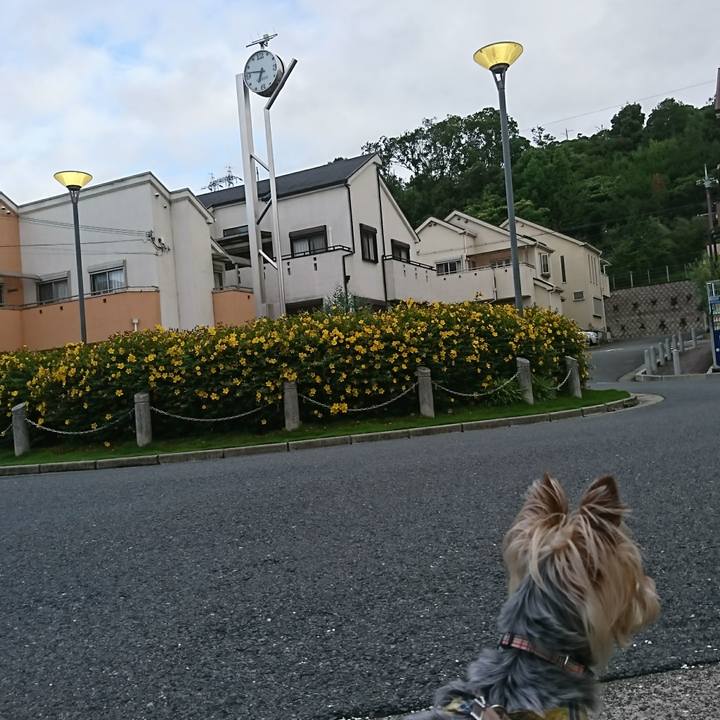 C7d00d31 83f8 4500 bd98 a1827b79dba0 1528669873813