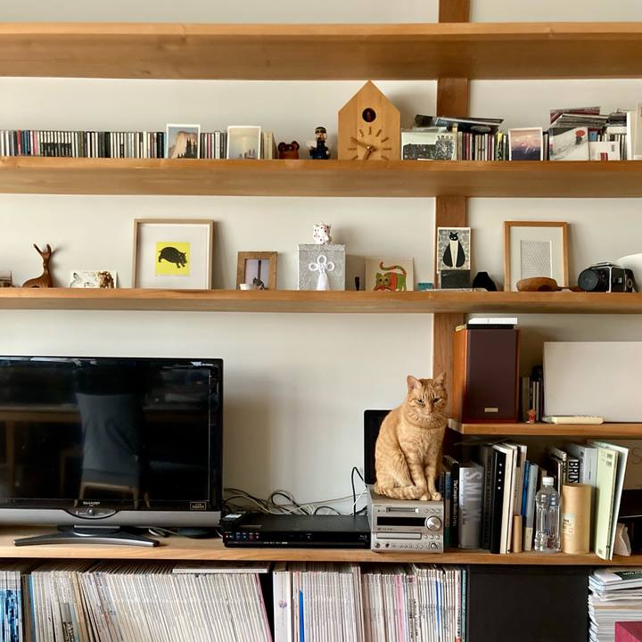 C7d03317 2098 411f b8ca 1b6d77686d55 1616895034576