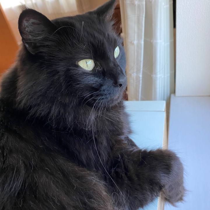 C7d03b34 4761 4bf2 b442 5069686eae56 1591445641599