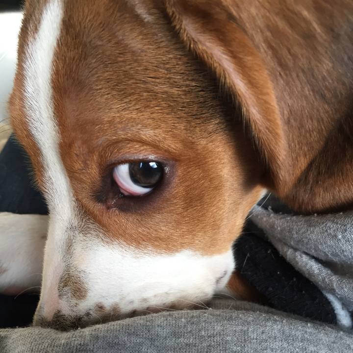 C7d040ab c928 4ddb b92a 2a02aaa84e2e 1516754723798