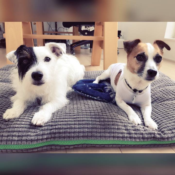 C7d06726 67f4 4ca2 a6f3 783267431704 1533886807260