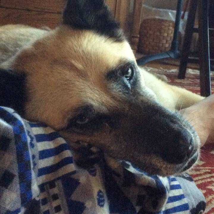 C7d0732a 20b4 422f 8f7c bb12f3df6225 1527437900770