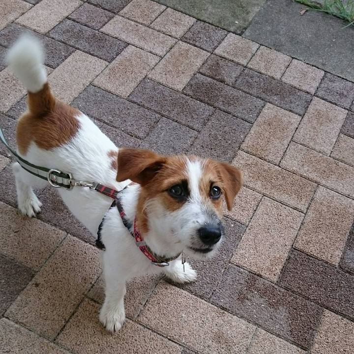 C7d07e86 0cc5 4ff9 ba2d 61a1484da8ba 1536584472455