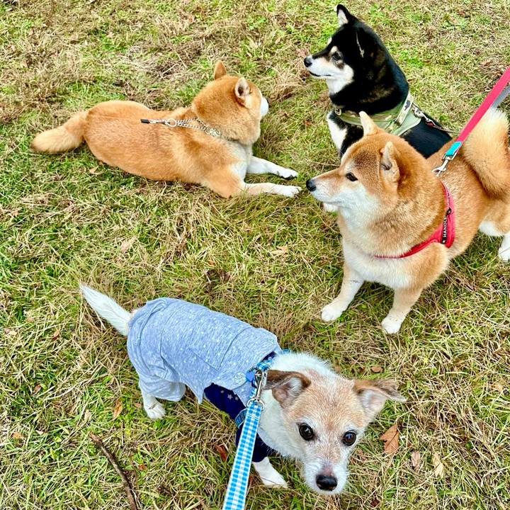 C7d11730 fdac 43c3 bc67 57d927971a0a 1699776349845