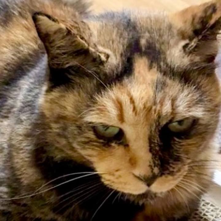 C7d11e1d 3f95 4f93 9a6c e3db9adf8532 1756328923199