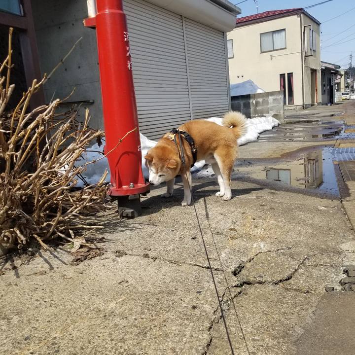 C7d12668 719c 4d54 993a e048b5ecfc86 1742700010314