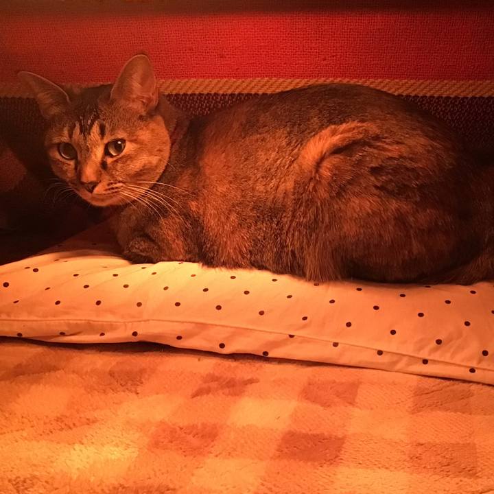 C7d12f0e ae4d 4657 bda0 97a997f55b04 1612093668225