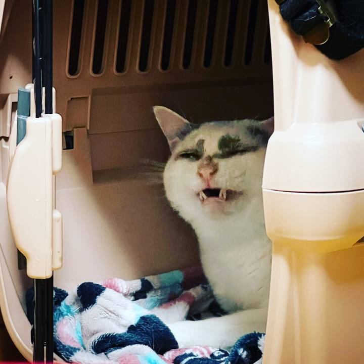 C7d14281 08bd 41bc bc37 8fe14ea2b660 1633785145085