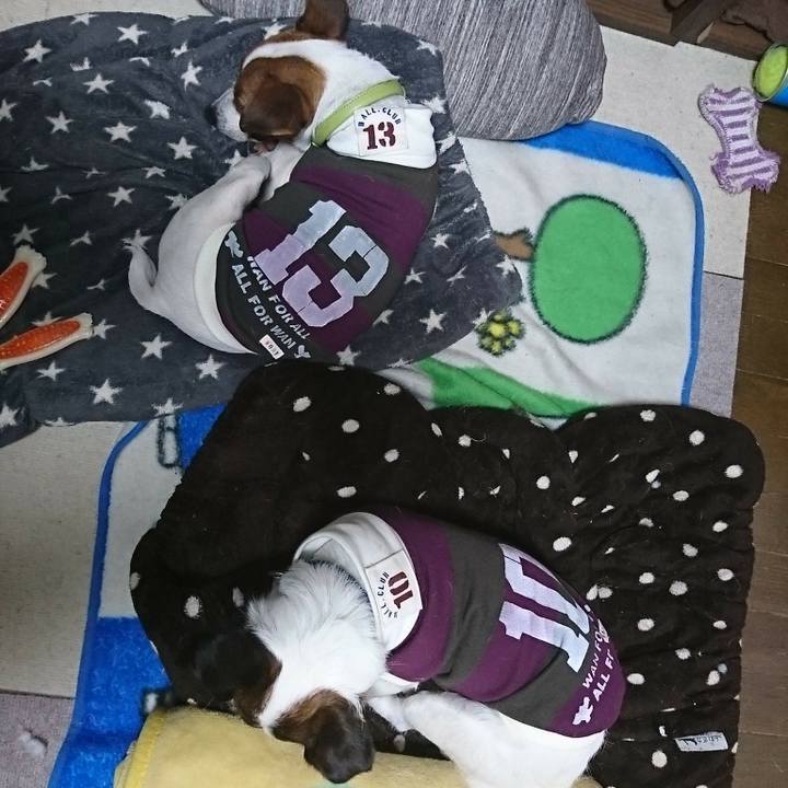 C7d142d4 9a6a 449f 8d17 a3d0495c7ba8 1585822334631