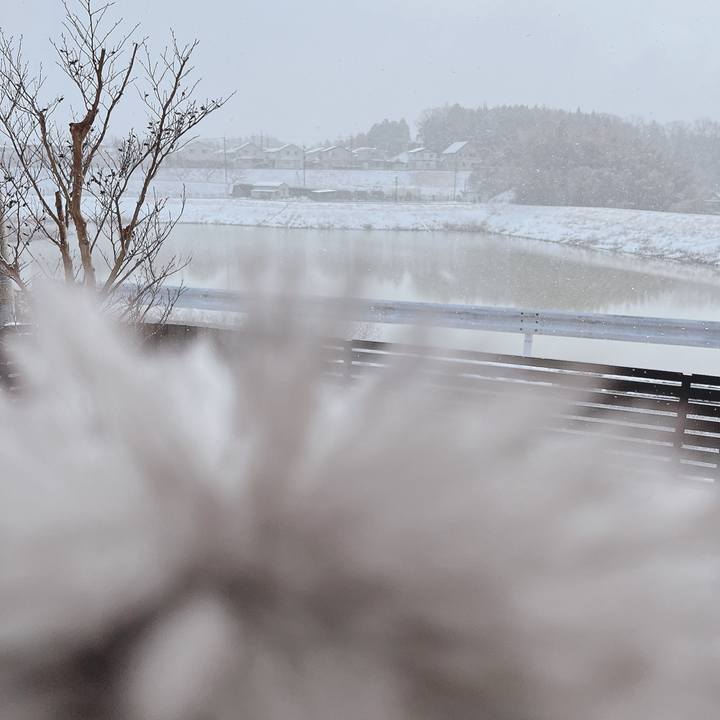 C7d16500 946f 4eb6 ba9e 2d1d0250b06f 1740360082706