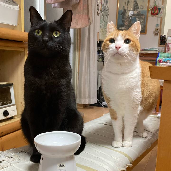 C7d1778c f09d 4993 9b94 5a6e9d83e9cf 1775964998329