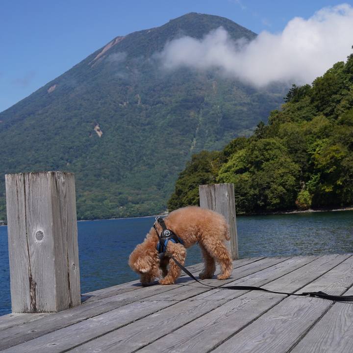 C7d19981 e8e7 4a4b 8369 37065f542729 1663590590545