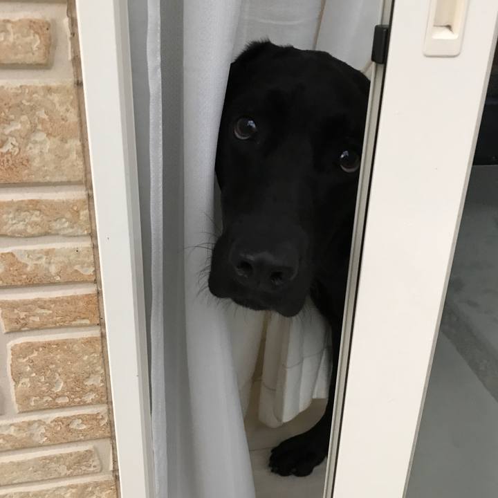 C7d1a5c2 f242 4259 9116 a59e6794f6ef 1508573047517