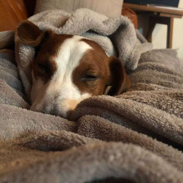 C7d1a5d6 42f6 4860 902d 6e69eb79e924 1551342891706