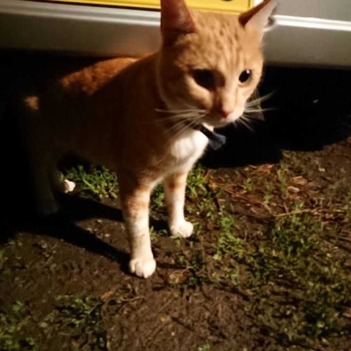 C7d1bf17 f868 4777 a956 0fa3046ccfaf 1563969295792