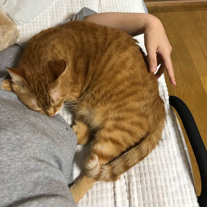 C7d1ecb5 6f4f 4a43 b2d6 d48de58bbdc4 1592310332602