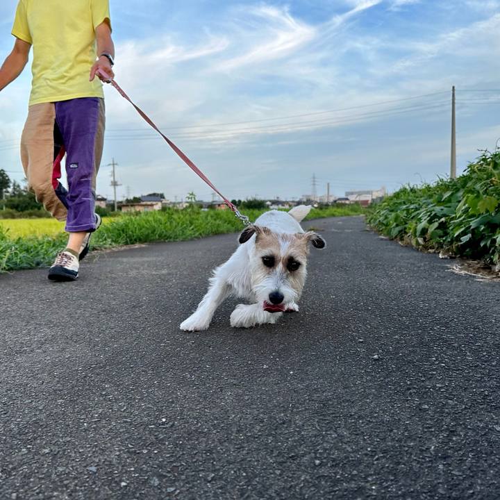 C7d1f7af 4785 40ed 88fd be18d226ab76 1693213852614